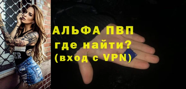 сатива Аркадак